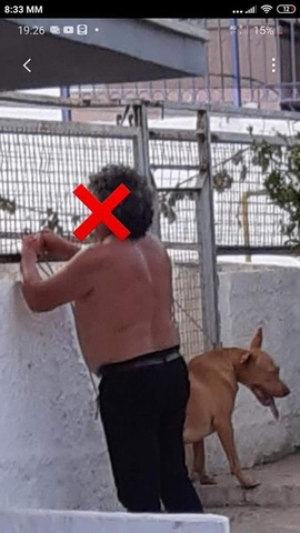 Φρικτή κακοποίηση σκύλου στην Κρήτη, κρύβεται ο δράστης