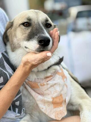 ♥️Σίσσυ ♥️