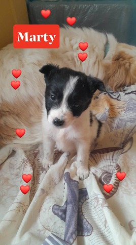 Μarty 2 μηνων