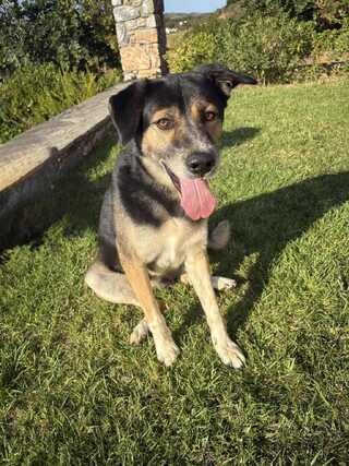 Max