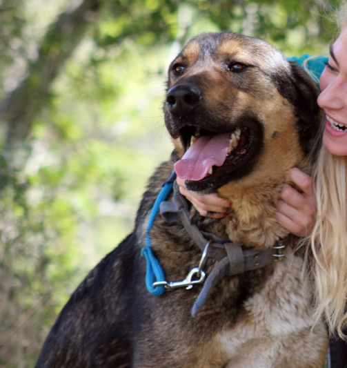 Καφετούλης
