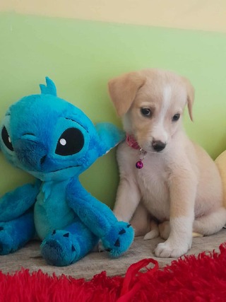 Τίνα, 2μηνών