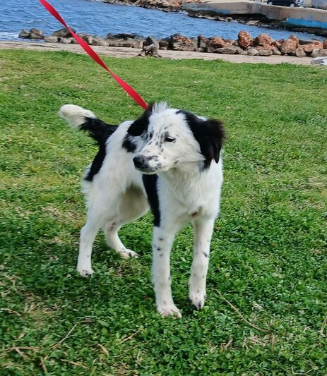 Μαριλου Σεττερ