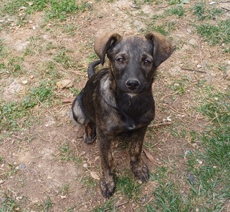 Χωρίς όνομα