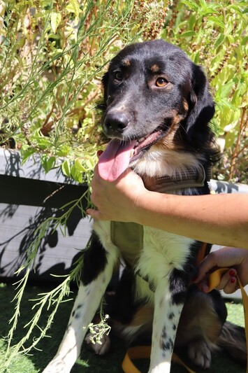 Θάλεια θαύμα!