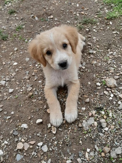 ΛΟΥΛΟΥ, 2 μηνών