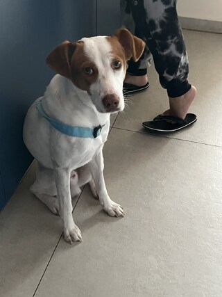 Marley