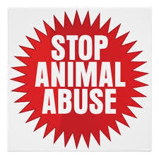 Καμία ανοχή στην κακοποίηση ζώων