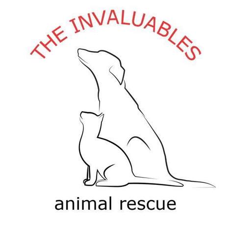 The Invaluables Animal Rescue