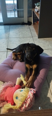 Ayla ❤️