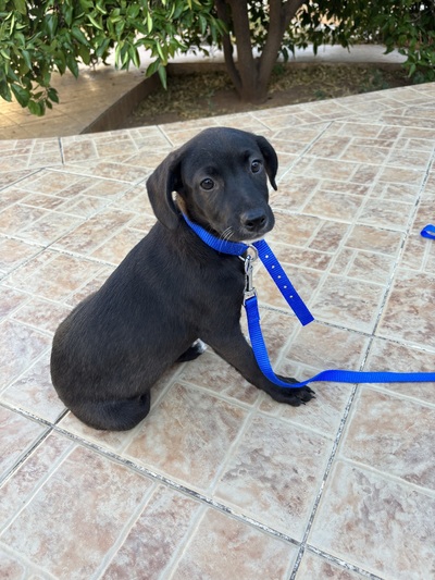 Naomi