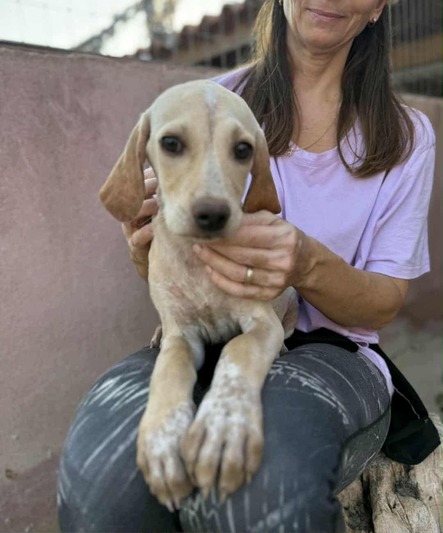 ♥️Ο Μέλενιος♥️