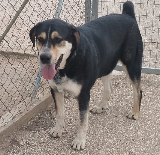 ΡΟΎΝΤΟΛΦ Θεός!!