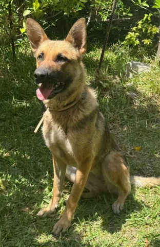 Roxy