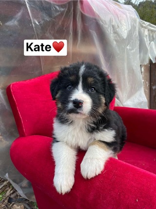 Kate