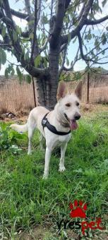 ❤️Ράξα ❤️