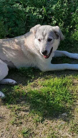 ΗΡΑ 11 ΜΗΝΩΝ