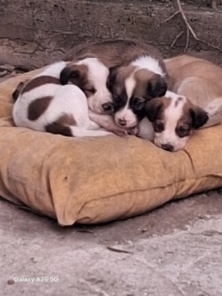 ΧΩΡΙΣ ΟΝΟΜΑ