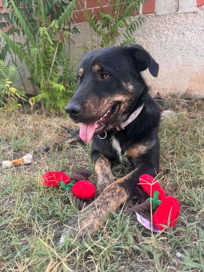 Θάνος