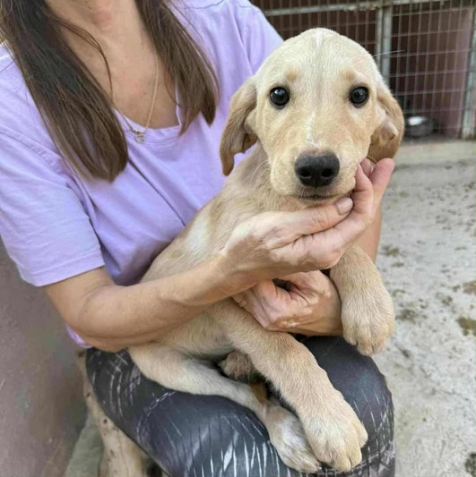 ♥️Μπένι ♥️