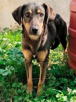 Olive!