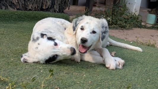 Semona and Kaia
