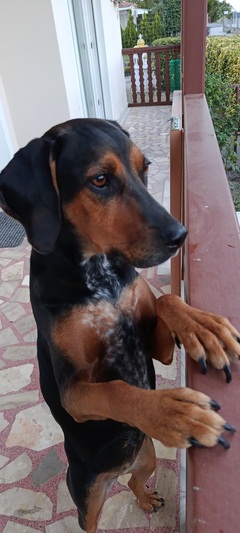 Λουλούκα ♥️♥️♥️