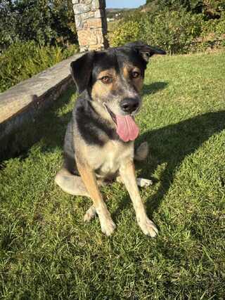 Max