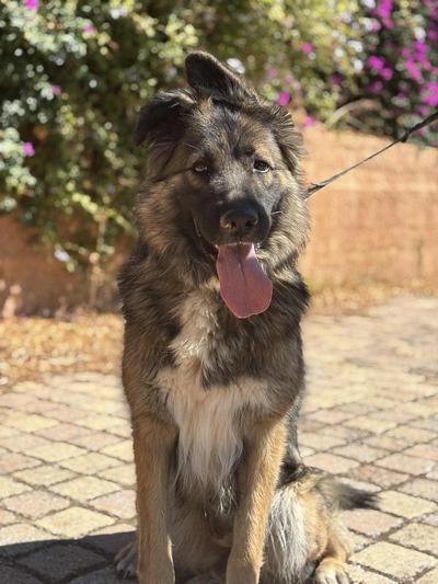 ♥️Μάγια ♥️