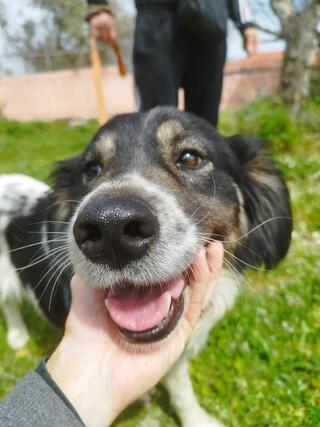 ♥️Μέλια ♥️