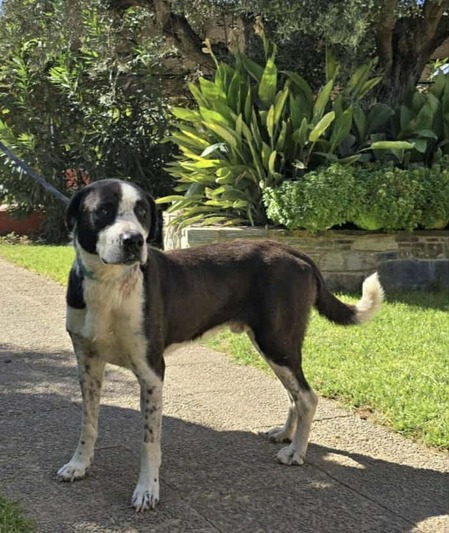 ♥️Ιάσωνας ❤️