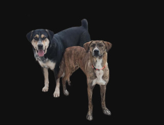 Ρούντολφ Ροντ