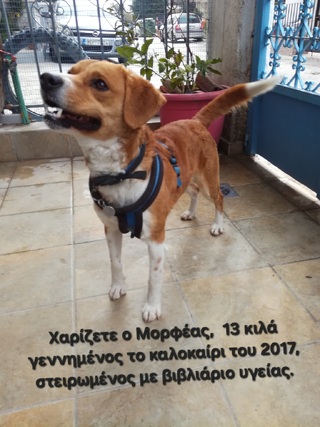 Μορφέας