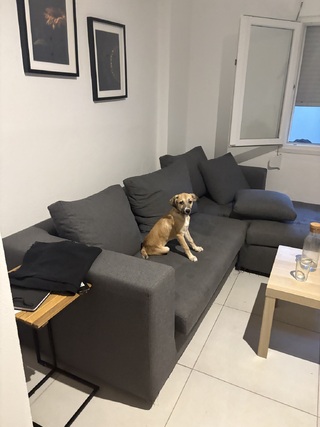 Bruno