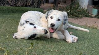 Semona and Kaia