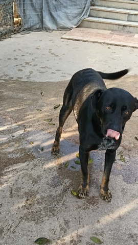 Eros