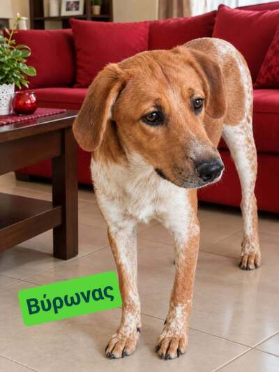 Βυρωνας