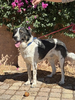 ♥️Ορλάντο ❤️