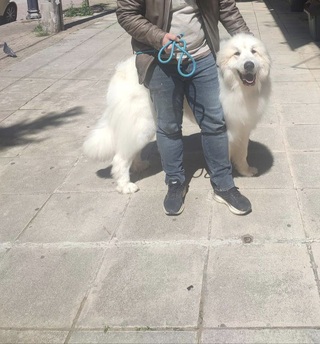 Athos