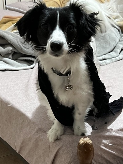 Molly