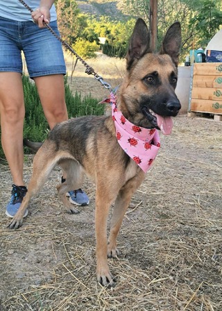 Roxy