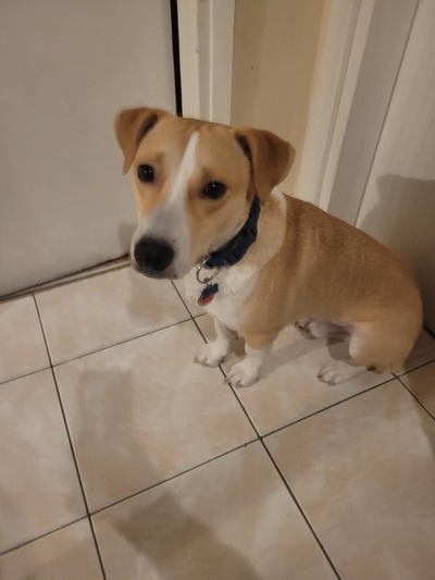 Oskar