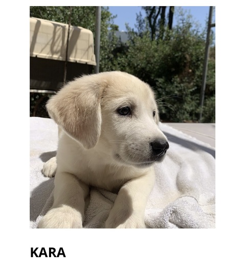 Kara