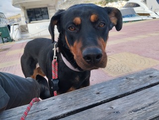 ΝΑΟΜΙ