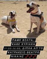 Καθε κυριακη ημέρα βολτας