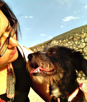 Stray Story 2: Eleni & Feli