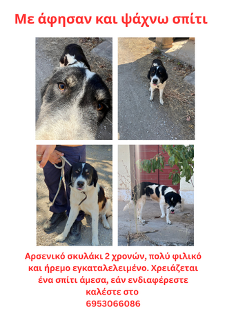 Δεν έχει