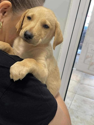 Marley