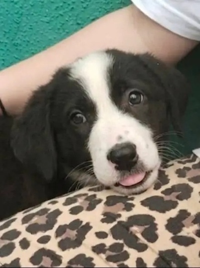 Penny!