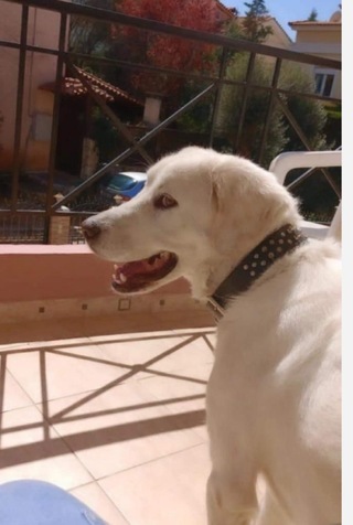 Louna